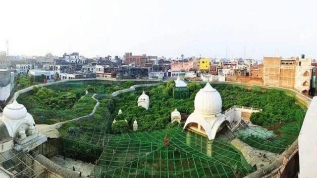 Untitled-design-2025-02-27T144538.958