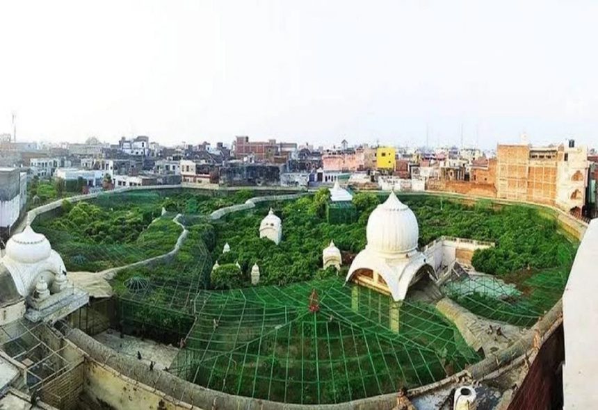 Untitled-design-2025-02-27T144538.958